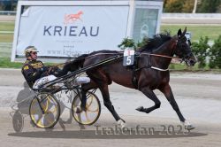 Dateiname=20251012_r08a_071_R05_0514.jpg
Dateigröße=272KB
Abmessungen: 1000x667
hinzugefügt am: 14. Oktober 2025 20251012_r08a_071_R05_0514.jpg