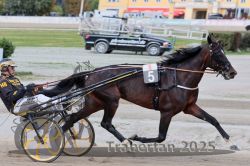 Dateiname=20251012_r08a_073_R05_0520.jpg
Dateigröße=291KB
Abmessungen: 1000x667
hinzugefügt am: 14. Oktober 2025 20251012_r08a_073_R05_0520.jpg