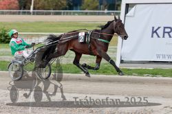 Dateiname=20251012_r08a_074_R05_0525.jpg
Dateigröße=280KB
Abmessungen: 1000x667
hinzugefügt am: 14. Oktober 2025 20251012_r08a_074_R05_0525.jpg