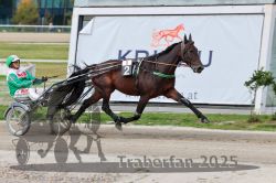 Dateiname=20251012_r08a_075_R05_0528.jpg
Dateigröße=276KB
Abmessungen: 1000x667
hinzugefügt am: 14. Oktober 2025 20251012_r08a_075_R05_0528.jpg