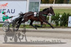 Dateiname=20251012_r08a_077_R05_0532.jpg
Dateigröße=290KB
Abmessungen: 1000x667
hinzugefügt am: 14. Oktober 2025 20251012_r08a_077_R05_0532.jpg