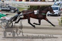 Dateiname=20251012_r08a_082_R05_0543.jpg
Dateigröße=296KB
Abmessungen: 1000x667
hinzugefügt am: 14. Oktober 2025 20251012_r08a_082_R05_0543.jpg