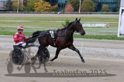 Dateiname=20251012_r08a_083_R05_0546.jpg
Dateigröße=287KB
Abmessungen: 1000x667
hinzugefügt am: 14. Oktober 2025 20251012_r08a_083_R05_0546.jpg