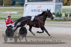 Dateiname=20251012_r08a_086_R05_0551.jpg
Dateigröße=267KB
Abmessungen: 1000x667
hinzugefügt am: 14. Oktober 2025 20251012_r08a_086_R05_0551.jpg