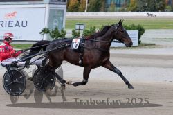 Dateiname=20251012_r08a_087_R05_0554.jpg
Dateigröße=274KB
Abmessungen: 1000x667
hinzugefügt am: 14. Oktober 2025 20251012_r08a_087_R05_0554.jpg