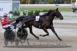 Dateiname=20251012_r08a_088_R05_0555.jpg
Dateigröße=283KB
Abmessungen: 1000x667
hinzugefügt am: 14. Oktober 2025 20251012_r08a_088_R05_0555.jpg