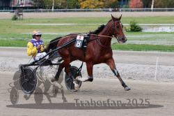 Dateiname=20251012_r08a_089_R05_0559.jpg
Dateigröße=285KB
Abmessungen: 1000x667
hinzugefügt am: 14. Oktober 2025 20251012_r08a_089_R05_0559.jpg