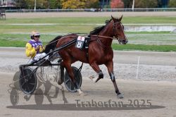 Dateiname=20251012_r08a_090_R05_0560.jpg
Dateigröße=292KB
Abmessungen: 1000x667
hinzugefügt am: 14. Oktober 2025 20251012_r08a_090_R05_0560.jpg