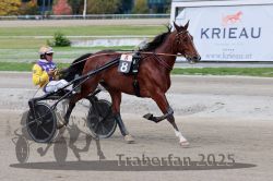 Dateiname=20251012_r08a_092_R05_0564.jpg
Dateigröße=276KB
Abmessungen: 1000x667
hinzugefügt am: 14. Oktober 2025 20251012_r08a_092_R05_0564.jpg