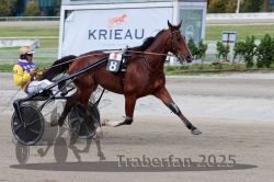 Dateiname=20251012_r08a_093_R05_0567.jpg
Dateigröße=286KB
Abmessungen: 1000x667
hinzugefügt am: 14. Oktober 2025 20251012_r08a_093_R05_0567.jpg