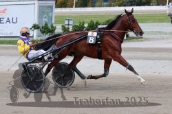 Dateiname=20251012_r08a_095_R05_0571.jpg
Dateigröße=291KB
Abmessungen: 1000x667
hinzugefügt am: 14. Oktober 2025 20251012_r08a_095_R05_0571.jpg