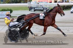 Dateiname=20251012_r08a_097_R05_0575.jpg
Dateigröße=287KB
Abmessungen: 1000x667
hinzugefügt am: 14. Oktober 2025 20251012_r08a_097_R05_0575.jpg