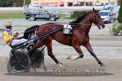 Dateiname=20251012_r08a_098_R05_0576.jpg
Dateigröße=293KB
Abmessungen: 1000x667
hinzugefügt am: 14. Oktober 2025 20251012_r08a_098_R05_0576.jpg