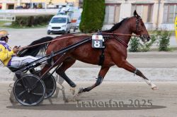 Dateiname=20251012_r08a_099_R05_0579.jpg
Dateigröße=300KB
Abmessungen: 1000x667
hinzugefügt am: 14. Oktober 2025 20251012_r08a_099_R05_0579.jpg