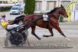 Dateiname=20251012_r08a_100_R05_0580.jpg
Dateigröße=304KB
Abmessungen: 1000x667
hinzugefügt am: 14. Oktober 2025 20251012_r08a_100_R05_0580.jpg