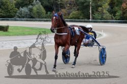 Dateiname=20251012_r08a_101_R05_0581.jpg
Dateigröße=265KB
Abmessungen: 1000x667
hinzugefügt am: 14. Oktober 2025 20251012_r08a_101_R05_0581.jpg