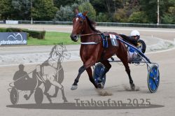 Dateiname=20251012_r08a_102_R05_0583.jpg
Dateigröße=273KB
Abmessungen: 1000x667
hinzugefügt am: 14. Oktober 2025 20251012_r08a_102_R05_0583.jpg