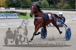 Dateiname=20251012_r08a_103_R05_0584.jpg
Dateigröße=281KB
Abmessungen: 1000x667
hinzugefügt am: 14. Oktober 2025 20251012_r08a_103_R05_0584.jpg