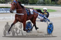 Dateiname=20251012_r08a_104_R05_0587.jpg
Dateigröße=273KB
Abmessungen: 1000x667
hinzugefügt am: 14. Oktober 2025 20251012_r08a_104_R05_0587.jpg