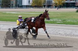 Dateiname=20251012_r08a_105_R05_0590.jpg
Dateigröße=277KB
Abmessungen: 1000x667
hinzugefügt am: 14. Oktober 2025 20251012_r08a_105_R05_0590.jpg