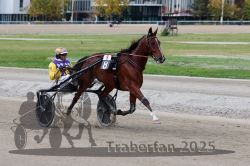 Dateiname=20251012_r08a_107_R05_0594.jpg
Dateigröße=285KB
Abmessungen: 1000x667
hinzugefügt am: 14. Oktober 2025 20251012_r08a_107_R05_0594.jpg