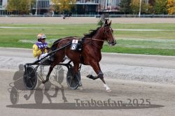 Dateiname=20251012_r08a_108_R05_0595.jpg
Dateigröße=288KB
Abmessungen: 1000x667
hinzugefügt am: 14. Oktober 2025 20251012_r08a_108_R05_0595.jpg