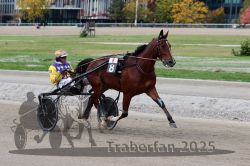 Dateiname=20251012_r08a_109_R05_0598.jpg
Dateigröße=297KB
Abmessungen: 1000x667
hinzugefügt am: 14. Oktober 2025 20251012_r08a_109_R05_0598.jpg