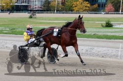 Dateiname=20251012_r08a_110_R05_0599.jpg
Dateigröße=301KB
Abmessungen: 1000x667
hinzugefügt am: 14. Oktober 2025 20251012_r08a_110_R05_0599.jpg