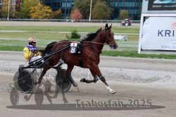 Dateiname=20251012_r08a_112_R05_0603.jpg
Dateigröße=295KB
Abmessungen: 1000x667
hinzugefügt am: 14. Oktober 2025 20251012_r08a_112_R05_0603.jpg