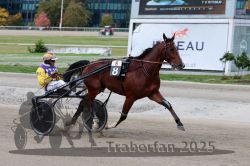 Dateiname=20251012_r08a_113_R05_0606.jpg
Dateigröße=290KB
Abmessungen: 1000x667
hinzugefügt am: 14. Oktober 2025 20251012_r08a_113_R05_0606.jpg