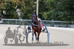 Dateiname=20251012_r08a_118_R05_0618.jpg
Dateigröße=245KB
Abmessungen: 1000x667
hinzugefügt am: 14. Oktober 2025 20251012_r08a_118_R05_0618.jpg