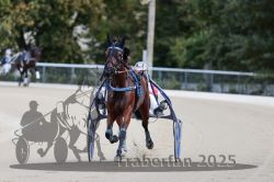 Dateiname=20251012_r08a_120_R05_0623.jpg
Dateigröße=238KB
Abmessungen: 1000x667
hinzugefügt am: 14. Oktober 2025 20251012_r08a_120_R05_0623.jpg