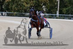 Dateiname=20251012_r08a_122_R05_0634.jpg
Dateigröße=253KB
Abmessungen: 1000x667
hinzugefügt am: 14. Oktober 2025 20251012_r08a_122_R05_0634.jpg