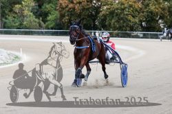 Dateiname=20251012_r08a_123_R05_0636.jpg
Dateigröße=283KB
Abmessungen: 1000x667
hinzugefügt am: 14. Oktober 2025 20251012_r08a_123_R05_0636.jpg