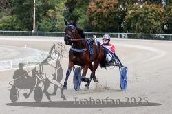 Dateiname=20251012_r08a_124_R05_0640.jpg
Dateigröße=290KB
Abmessungen: 1000x667
hinzugefügt am: 14. Oktober 2025 20251012_r08a_124_R05_0640.jpg