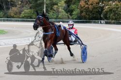 Dateiname=20251012_r08a_125_R05_0644.jpg
Dateigröße=279KB
Abmessungen: 1000x667
hinzugefügt am: 14. Oktober 2025 20251012_r08a_125_R05_0644.jpg