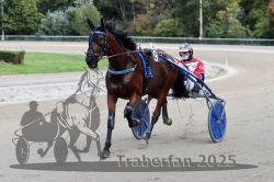 Dateiname=20251012_r08a_127_R05_0649.jpg
Dateigröße=277KB
Abmessungen: 1000x667
hinzugefügt am: 14. Oktober 2025 20251012_r08a_127_R05_0649.jpg