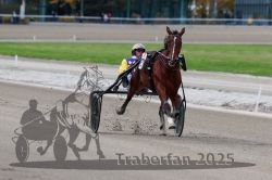 Dateiname=20251012_r08a_129_R05_0656.jpg
Dateigröße=236KB
Abmessungen: 1000x667
hinzugefügt am: 14. Oktober 2025 20251012_r08a_129_R05_0656.jpg