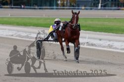 Dateiname=20251012_r08a_131_R05_0660.jpg
Dateigröße=240KB
Abmessungen: 1000x667
hinzugefügt am: 14. Oktober 2025 20251012_r08a_131_R05_0660.jpg