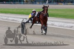 Dateiname=20251012_r08a_133_R05_0663.jpg
Dateigröße=235KB
Abmessungen: 1000x667
hinzugefügt am: 14. Oktober 2025 20251012_r08a_133_R05_0663.jpg