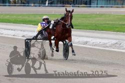 Dateiname=20251012_r08a_134_R05_0666.jpg
Dateigröße=251KB
Abmessungen: 1000x667
hinzugefügt am: 14. Oktober 2025 20251012_r08a_134_R05_0666.jpg