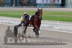 Dateiname=20251012_r08a_135_R05_0669.jpg
Dateigröße=249KB
Abmessungen: 1000x667
hinzugefügt am: 14. Oktober 2025 20251012_r08a_135_R05_0669.jpg