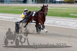 Dateiname=20251012_r08a_137_R05_0676.jpg
Dateigröße=259KB
Abmessungen: 1000x667
hinzugefügt am: 14. Oktober 2025 20251012_r08a_137_R05_0676.jpg