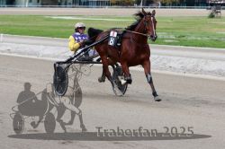 Dateiname=20251012_r08a_139_R05_0680.jpg
Dateigröße=275KB
Abmessungen: 1000x667
hinzugefügt am: 14. Oktober 2025 20251012_r08a_139_R05_0680.jpg