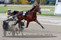 Dateiname=20251012_r08a_141_R05_0686.jpg
Dateigröße=276KB
Abmessungen: 1000x667
hinzugefügt am: 14. Oktober 2025 20251012_r08a_141_R05_0686.jpg