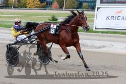 Dateiname=20251012_r08a_142_R05_0687.jpg
Dateigröße=284KB
Abmessungen: 1000x667
hinzugefügt am: 14. Oktober 2025 20251012_r08a_142_R05_0687.jpg