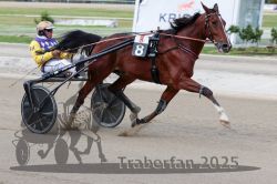 Dateiname=20251012_r08a_143_R05_0689.jpg
Dateigröße=274KB
Abmessungen: 1000x667
hinzugefügt am: 14. Oktober 2025 20251012_r08a_143_R05_0689.jpg