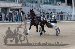 Dateiname=20251012_r08a_144_R05_0693.jpg
Dateigröße=303KB
Abmessungen: 1000x667
hinzugefügt am: 14. Oktober 2025 20251012_r08a_144_R05_0693.jpg