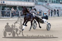 Dateiname=20251012_r08a_146_R05_0698.jpg
Dateigröße=323KB
Abmessungen: 1000x667
hinzugefügt am: 14. Oktober 2025 20251012_r08a_146_R05_0698.jpg