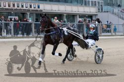 Dateiname=20251012_r08a_147_R05_0702.jpg
Dateigröße=303KB
Abmessungen: 1000x667
hinzugefügt am: 14. Oktober 2025 20251012_r08a_147_R05_0702.jpg